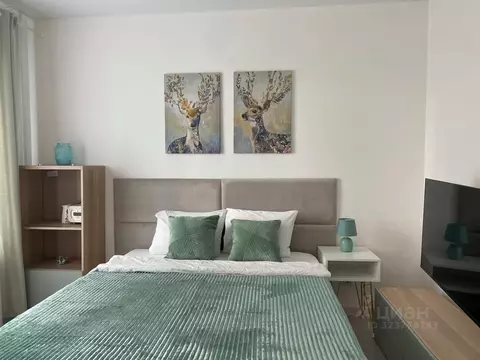 Студия Ленинградская область, Гатчина ул. Чехова, 43 (28.0 м)