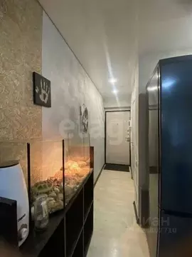 Студия Самарская область, Самара просп. Кирова, 71 (19.0 м)