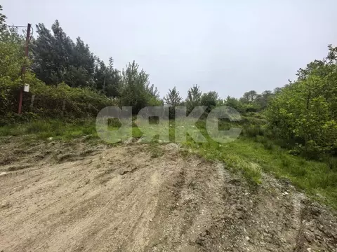 Участок в Краснодарский край, Сочи городской округ, с. Верхнее Буу ул. ...