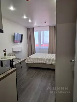 Студия Санкт-Петербург ул. Крыленко, 14с3 (26.5 м)