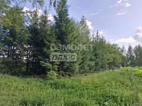 Участок в Москва д. Свитино, 42 (30.0 сот.)