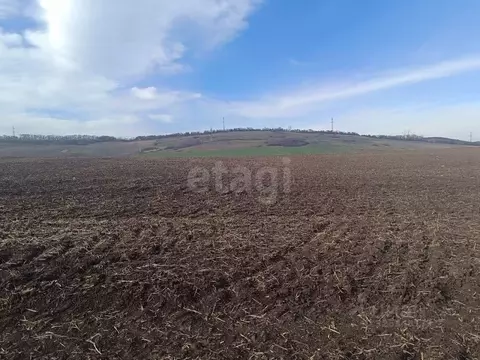 Участок в Крым, Симферопольский район, с. Перово  (41.8 сот.)