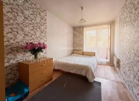 Студия Санкт-Петербург Бухарестская ул., 118к3 (24.8 м)