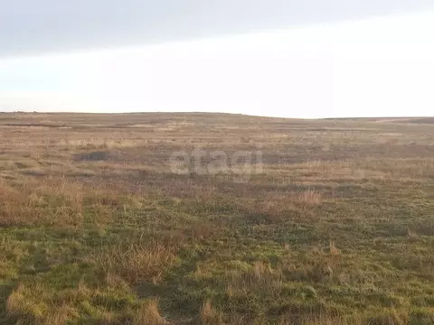 Участок в Крым, Ленино пгт ул. Трудовая (10.31 сот.)