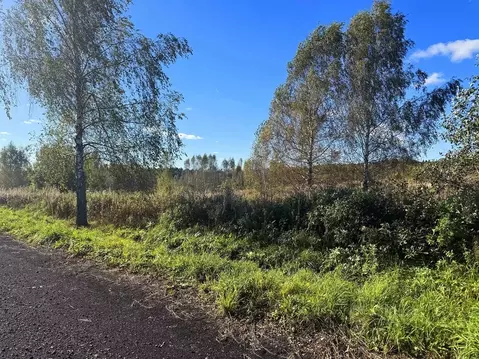 Участок в Московская область, Дмитровский муниципальный округ, Сбоево ...
