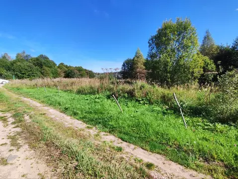 Участок в Московская область, Волоколамский муниципальный округ, д. ...