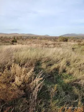 Участок в Хакасия, Усть-Абакан рп ул. Октябрьская (6.0 сот.)