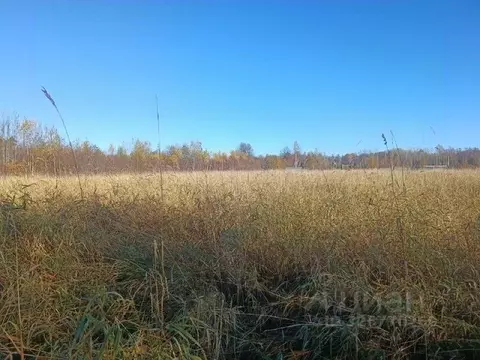 Участок в Ленинградская область, Приозерский район, Ромашкинское ...