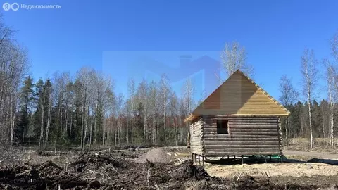 Участок в Выборгский район, посёлок Поляны (6.62 м)