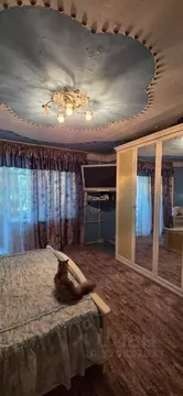 3-к кв. Челябинская область, Озерск Набережная ул., 37 (66.2 м)