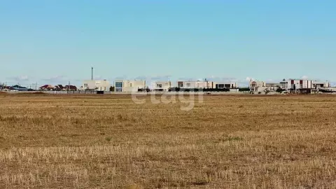 Участок в Крым, Сакский район, Молочненское с/пос, с. Витино  (6.1 ...