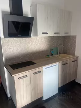 Студия Санкт-Петербург просп. Ветеранов, 185к2 (25.0 м)