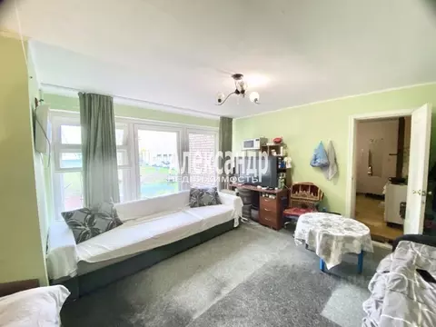 Комната Санкт-Петербург ул. Маршала Говорова, 8 (37.4 м)