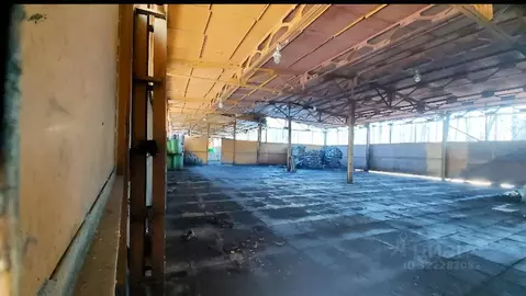 Помещение свободного назначения в Тверская область, Торжок ул. Мира, ...