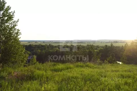 Участок в Воронежская область, Рамонский район, с. Ямное Комсомольская ...