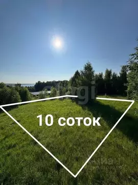 Участок в Костромская область, Красносельский муниципальный округ, ...