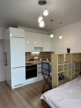 Студия Санкт-Петербург просп. Королева, 57к1 (27.0 м)