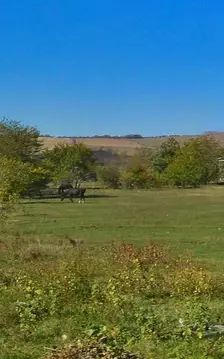 Участок в Карачаево-Черкесия, Псыж аул ул. Братьев Кишмаховых (10.0 ...