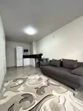 1-к кв. Омская область, Омск Взлетная ул., 4/1 (30.0 м)