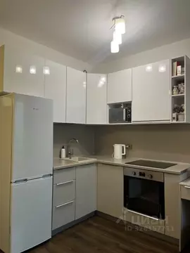 Студия Санкт-Петербург ул. Плесецкая, 20к1 (24.2 м)