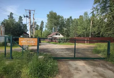 Участок в Иркутская область, Иркутский муниципальный округ, Ясное ДНТ ...