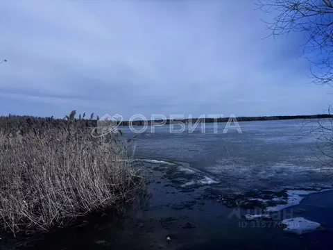 Участок в Тюменская область, Тюменский район, Боровский пгт ул. Новая ...