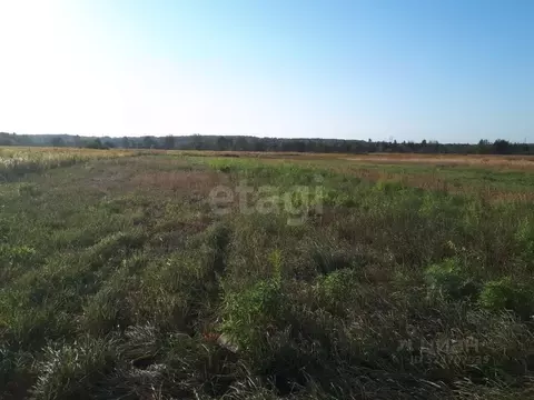 Участок в Брянская область, Брянский район, Добрунское с/пос, д. ...