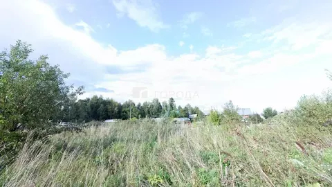 Участок в Томская область, Томский район, д. Козюлино  (15.74 сот.)