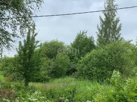 Участок в Ярославская область, Большесельский муниципальный округ, ...