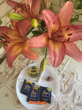 1-к кв. Ульяновская область, Ульяновск просп. Созидателей, 70 (30.0 м)