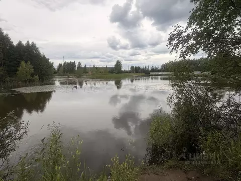Участок в Московская область, Раменское Дергаево-2 кп,  (19.0 сот.)