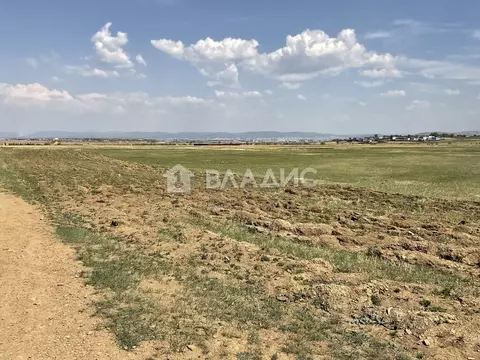 Участок в Забайкальский край, Чита с. Застепь,  (12.5 сот.)