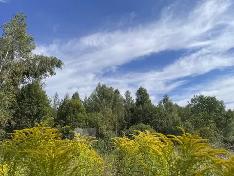 Участок в Московская область, Мытищи городской округ, д. Долгиниха  ...