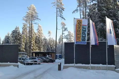 Участок в Ленинградская область, Выборгский район, Рощинское городское ...