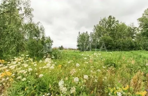 Участок в Тюменская область, Тюменский муниципальный округ, с. Кулига ...