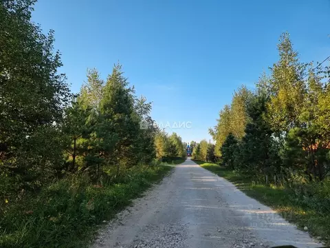 Участок в Владимирская область, Судогодский район, Барский луг ДНТ  ...