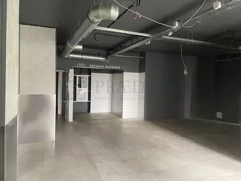 Помещение свободного назначения в Москва Березовая аллея, 19к3 (240 м)