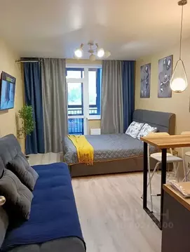 Студия Свердловская область, Екатеринбург пер. Мельковский, 4 (27.0 м)