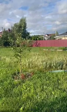 Участок в Московская область, Раменский муниципальный округ, ...