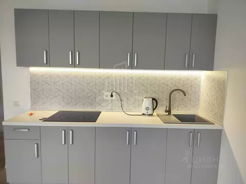 Студия Ленинградская область, Всеволожский район, Заневское городское ...