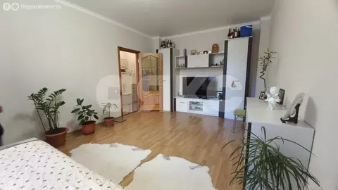 1-комнатная квартира: Анапа, Анапское шоссе, 1Г (49.5 м)