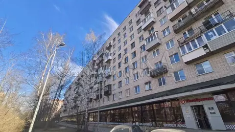 2-к кв. Санкт-Петербург Светлановский просп., 35 (48.5 м)