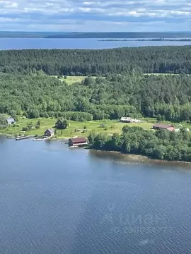 Дом в Карелия, Медвежьегорский муниципальный округ, д. Кривоноговская  ...