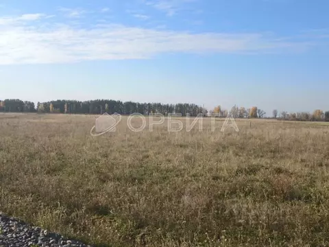 Участок в Тюменская область, Тюменский муниципальный округ, ...