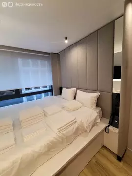 Квартира-студия: Санкт-Петербург, улица Салова, 61 (16.8 м)