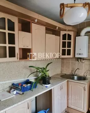 2-к кв. Костромская область, Кострома Рябиновый проезд, 4 (58.0 м)