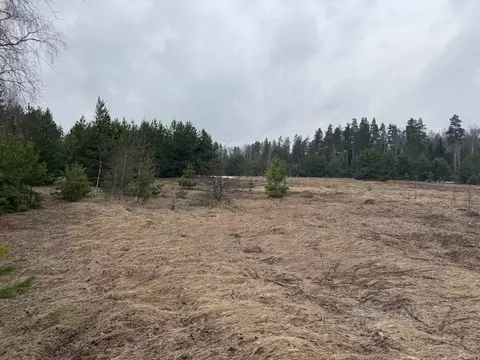 Участок в Московская область, Орехово-Зуевский городской округ, д. ...