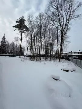 Участок в Московская область, Пушкинский городской округ, Левково-3 кп ...