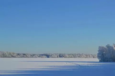 Участок в Ленинградская область, Выборгский район, Полянское с/пос, ...