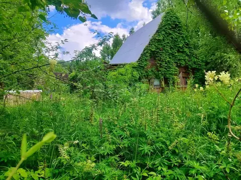 Участок в Москва Берендеи СНТ, 53 (18.0 сот.)